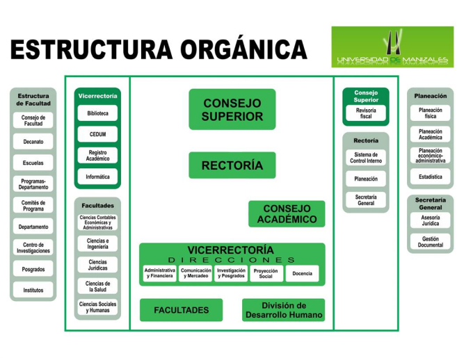 Organigrama