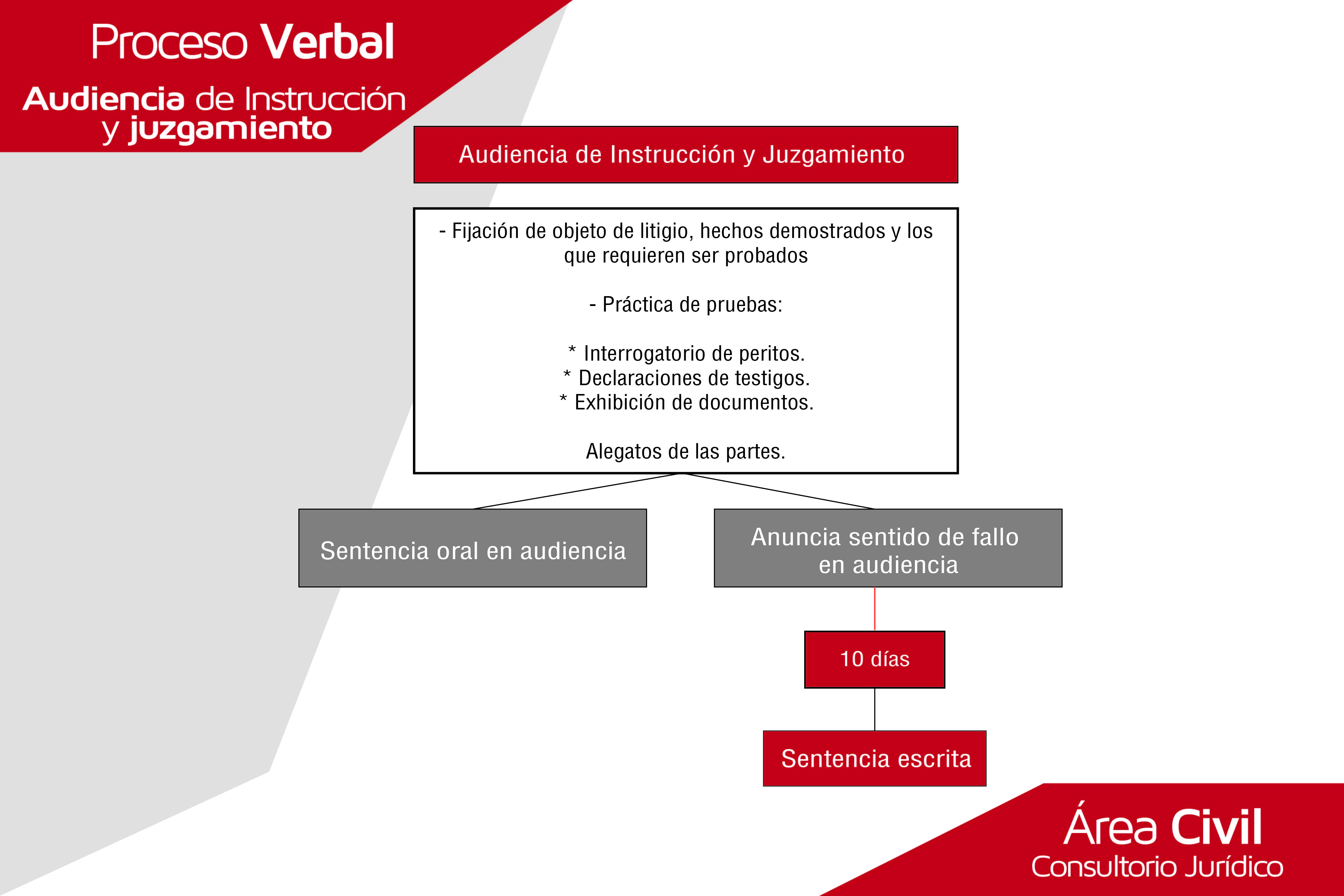 audiencia-de-instruccion