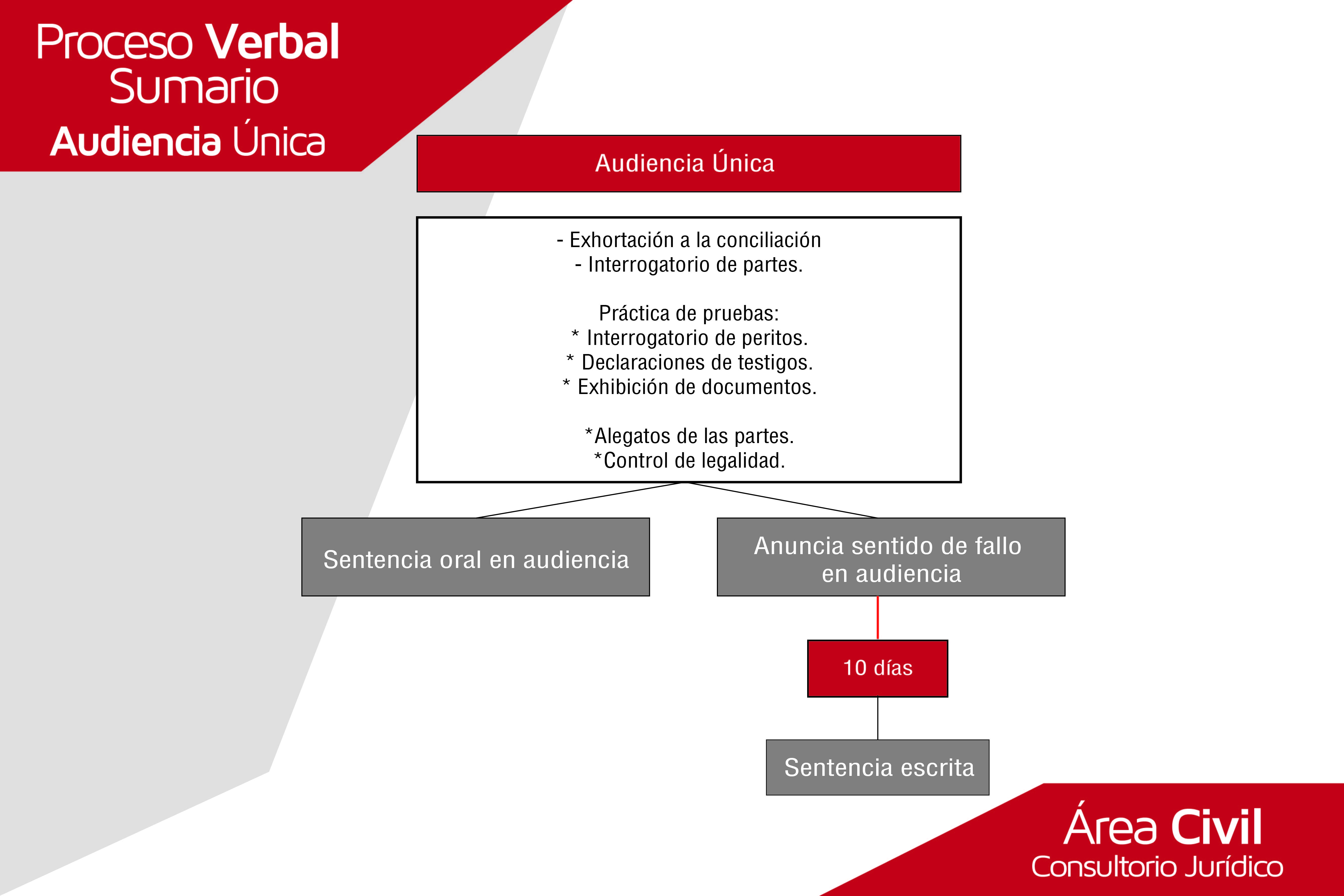 audiencia-unica-verbal-sumario-01