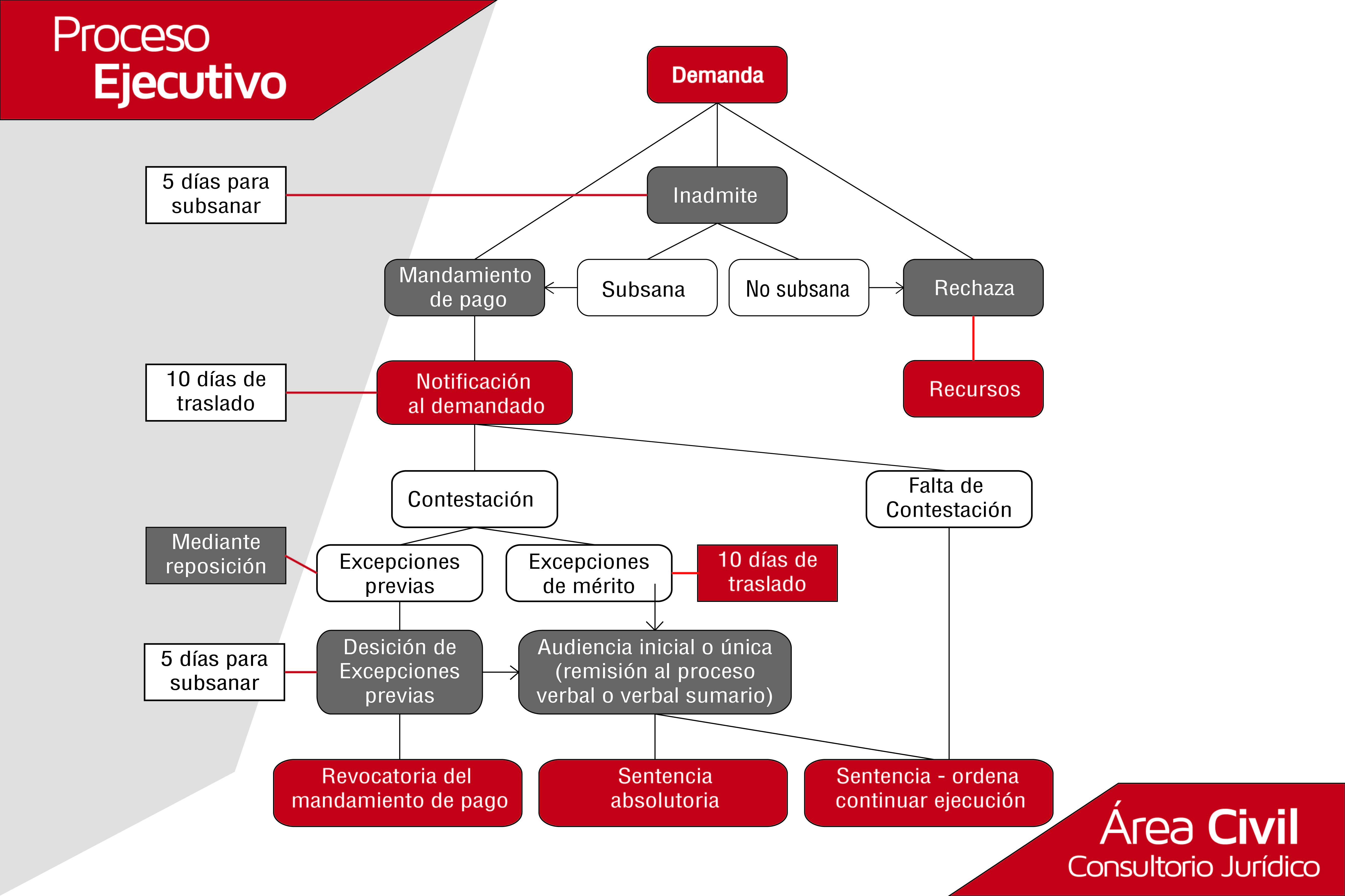 proceso-ejecutivo-01