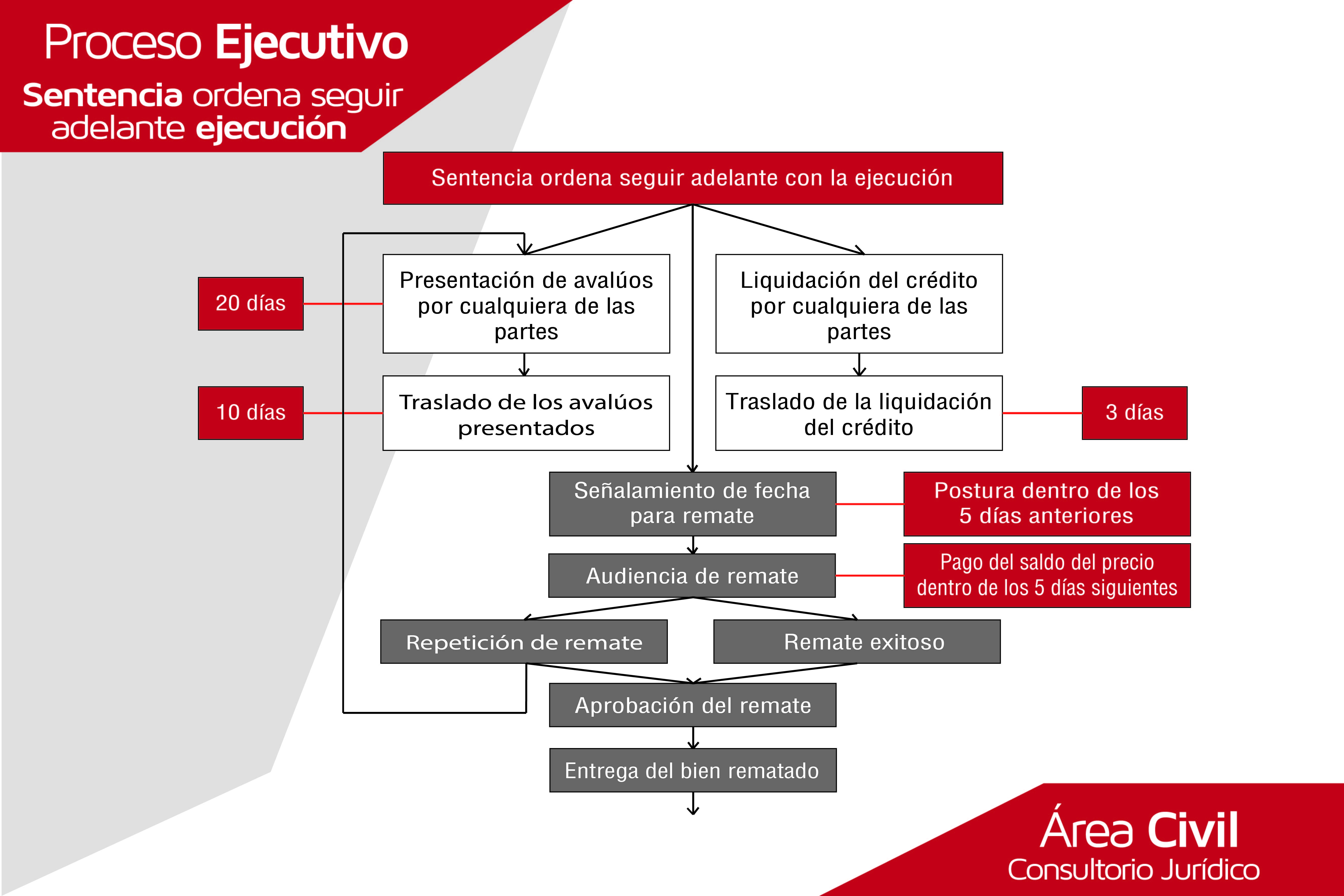 sentencia-ordena-seguir-adelante-01