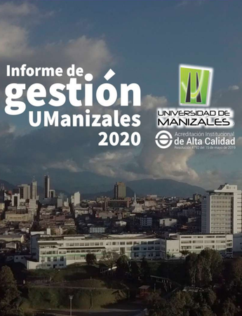 Informe de gestión 2020