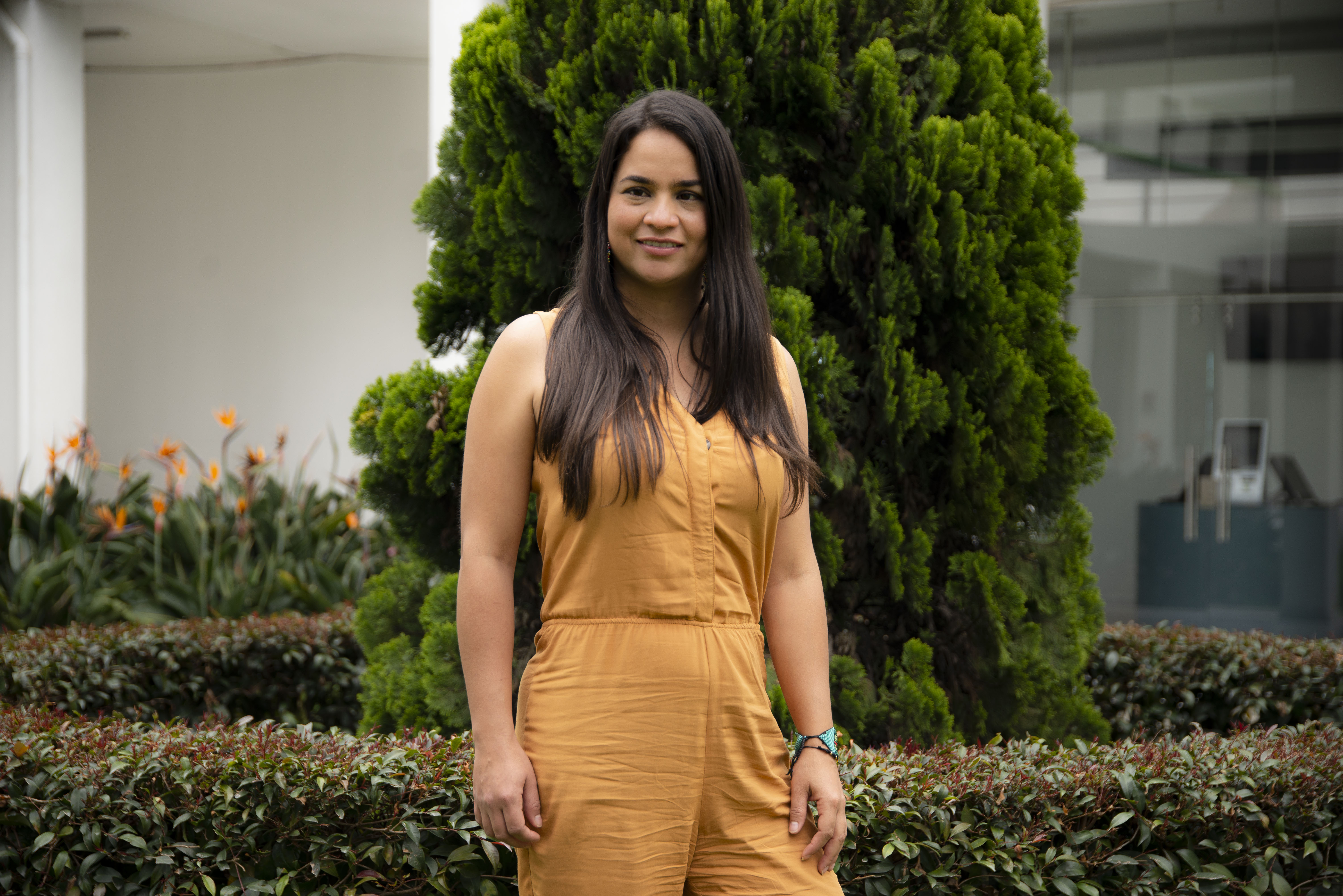 construccionsociedad5