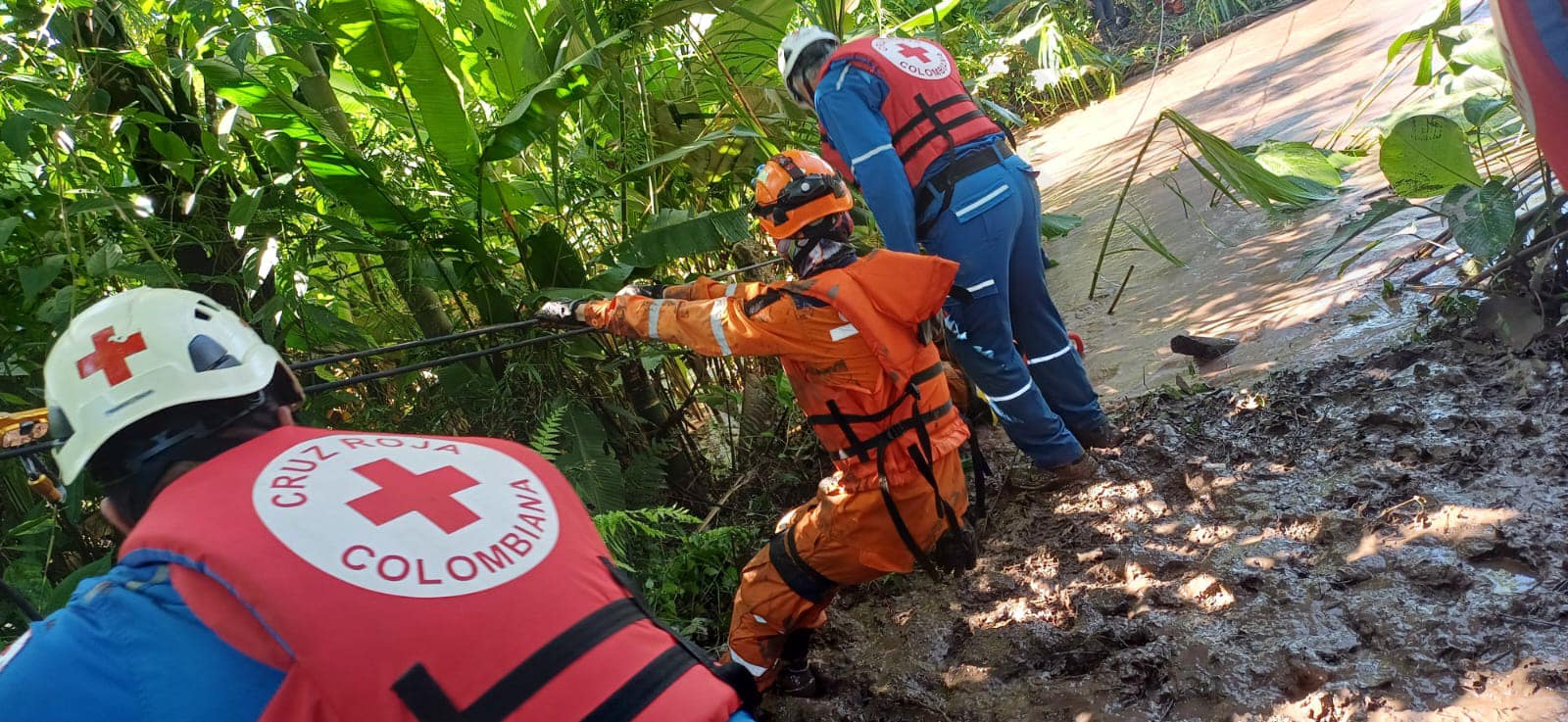 Grupos de rescate