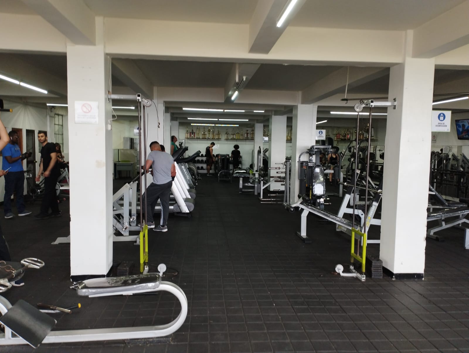 Foto gimnasio