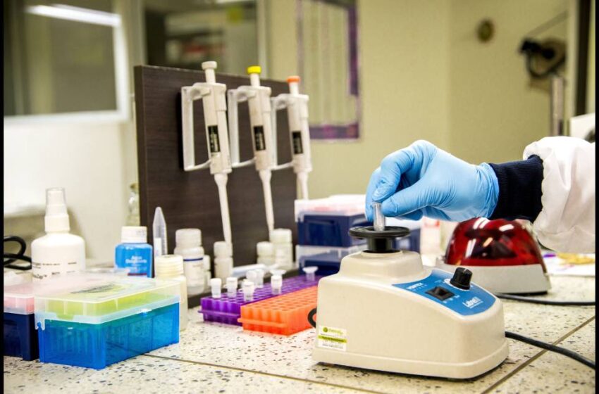 enganogenetico1-850x560