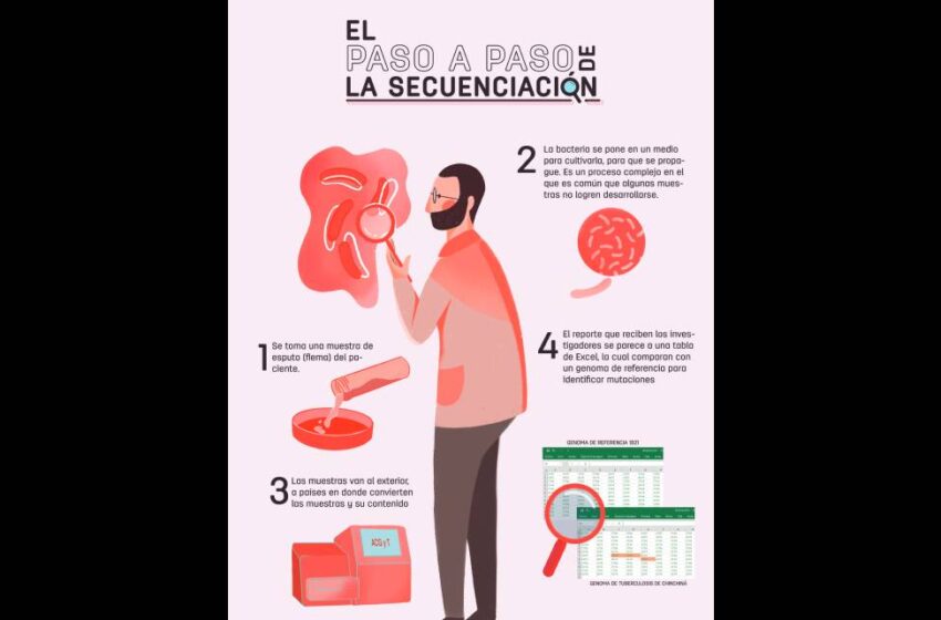 genetica1-850x560 (1)