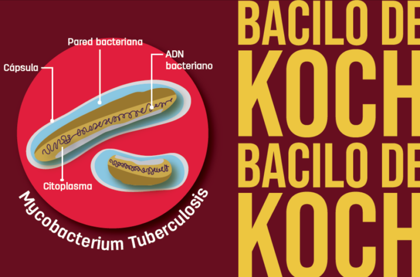resistencia1-850x560