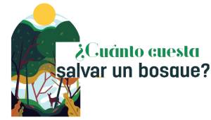 salvarBosque7
